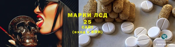 ГАЛЛЮЦИНОГЕННЫЕ ГРИБЫ Михайловск