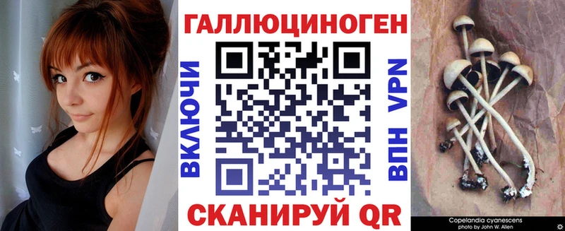 купить наркоту Сорск Псилоцибиновые грибы ЛСД