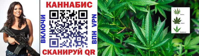где найти   Сорск  Шишки марихуана семена 